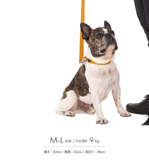 MANDARINE BROTHERS クラシックリード/CLASSIC LEASH